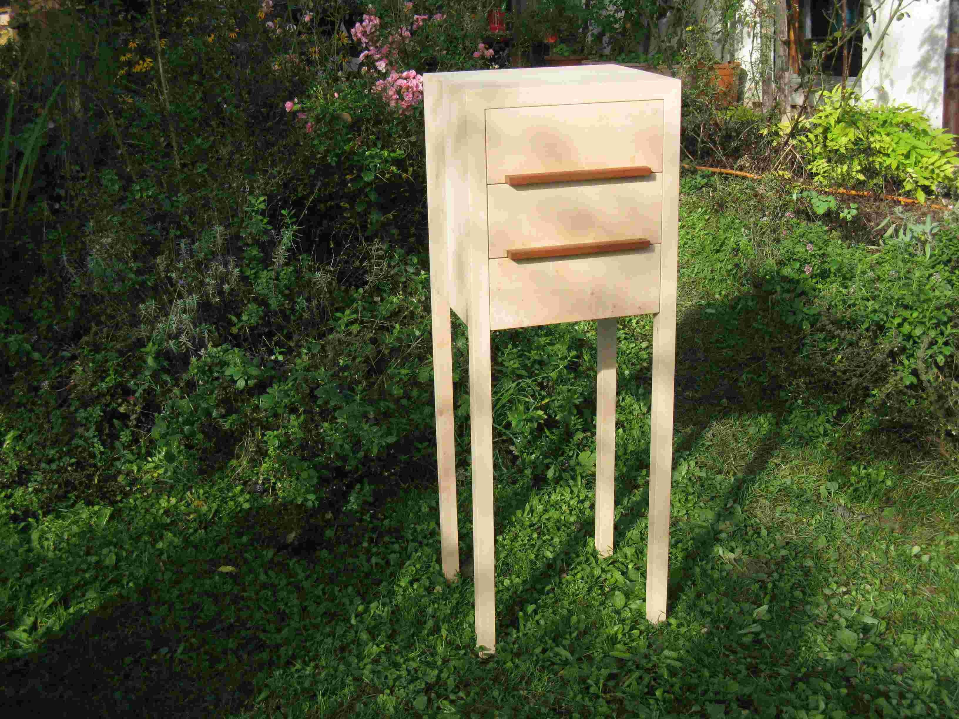 Portfolio Image
