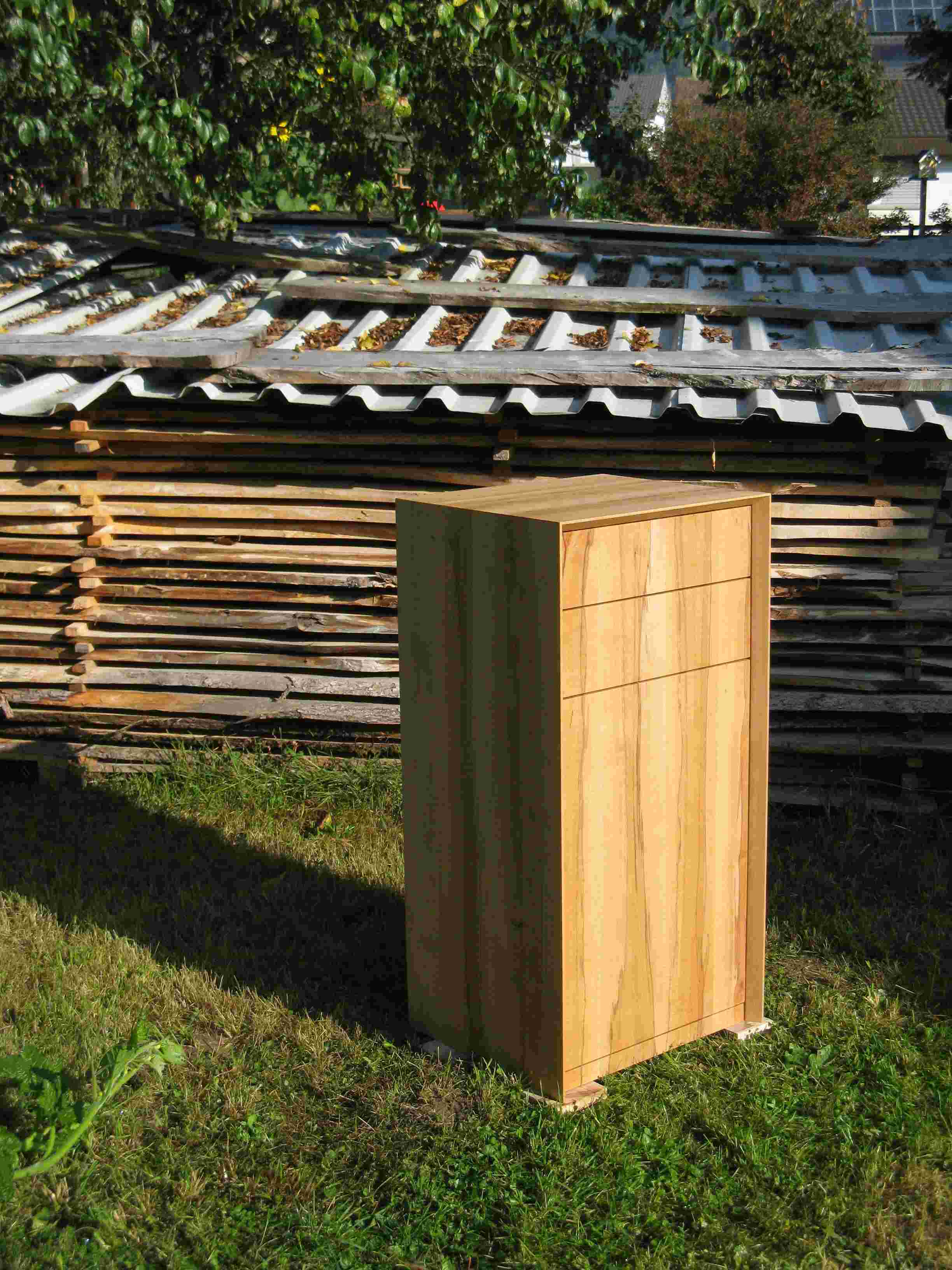 Portfolio Image
