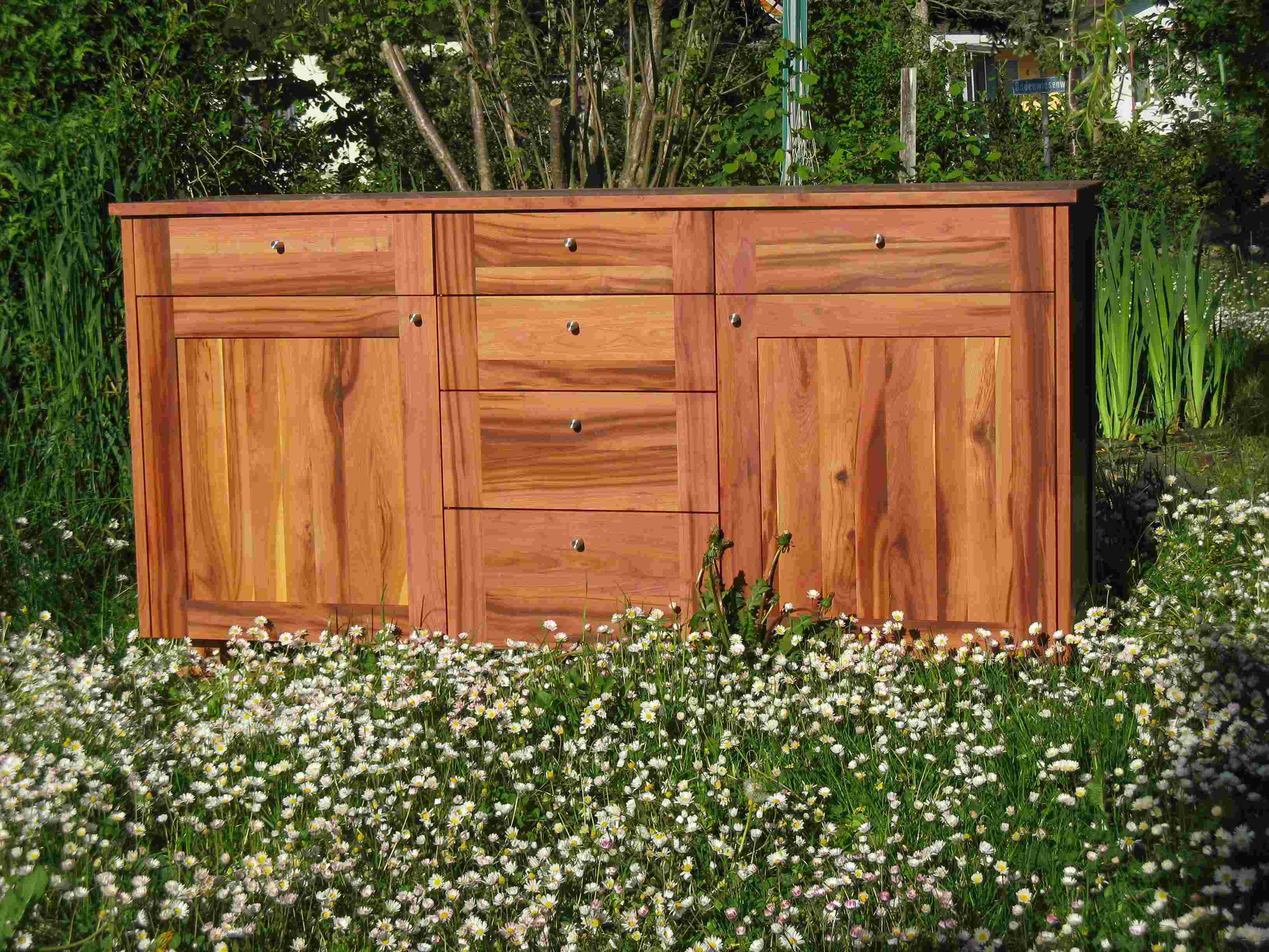 Portfolio Image